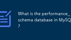 What is the performance_schema database in MySQL?