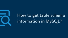 How to get table schema information in MySQL?