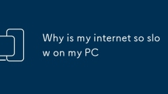 Why is my internet so slow on my PC