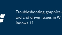Troubleshooting graphics card and driver issues in Windows 11