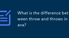 What is the difference between throw and throws in Java?