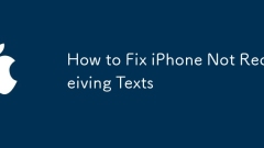 Comment réparer l'iPhone ne recevant pas de textes
