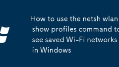How to use the netsh wlan show profiles command to see saved Wi-Fi networks in Windows