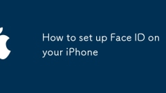 Cara Menyiapkan ID Face pada iPhone anda
