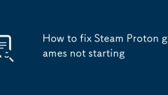 So fixieren Sie Steam Proton -Spiele, die nicht beginnen