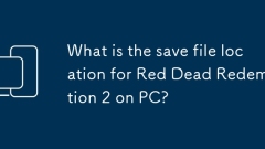 Was ist der Speicherort für Red Dead Redemption 2 auf dem PC?