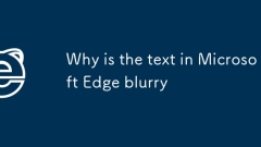 Warum ist der Text in Microsoft Edge verschwommen?