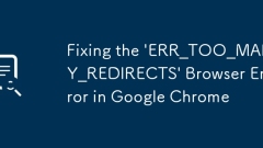Behebung des Browserfehlers 'err_too_many_redirects' in Google Chrome