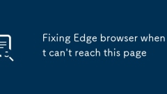 Korrekturbrowser reparieren, wenn er diese Seite nicht erreichen kann