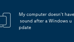 My computer doesn't have sound after a Windows update