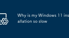Warum ist meine Windows 11 -Installation so langsam?