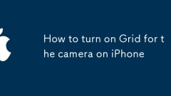 Cara menghidupkan grid untuk kamera di iPhone
