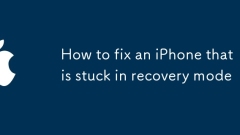 Cara memperbaiki iPhone yang tersekat dalam mod pemulihan