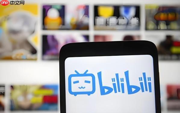 bilibili视频被锁区了怎么办_bilibili地区限制视频观看解决方案