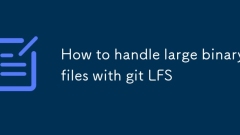 如何使用git LFS處理大型二進製文件