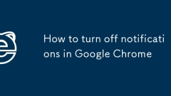 Chrome?? ??? ?? ??