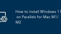 So installieren Sie Windows 11 auf Parallelen für Mac M1/M2