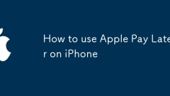 Cara Menggunakan Apple Pay kemudian di iPhone