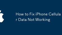 Cara Memperbaiki Data Selular iPhone Tidak Berfungsi