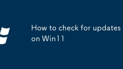 Cara memeriksa kemas kini di Win11