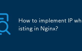 如何在NGINX中实现IP白色?