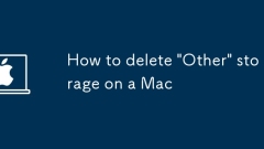 How to delete 'Other' storage on a Mac
