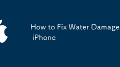 Comment réparer l'iPhone endommagé par l'eau