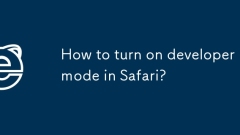 How to turn on developer mode in Safari?