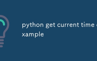 Python Obtenez l'exemple de l'heure actuelle