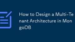 Comment concevoir une architecture multi-locataire à MongoDB