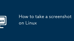 How to take a screenshot on Linux