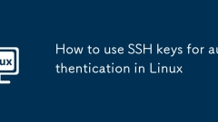 How to use SSH keys for authentication in Linux