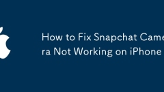 Cara Memperbaiki Kamera Snapchat tidak berfungsi pada iPhone