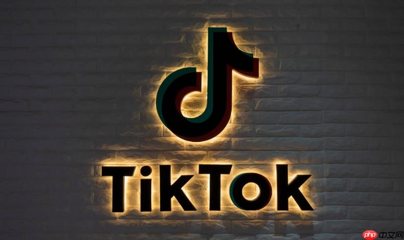 tiktok抖音海外版下载 tik tok(抖音海外版)