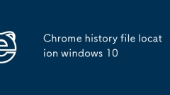 Lokasi fail sejarah Chrome Windows 10