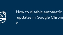 Cara melumpuhkan kemas kini automatik di Google Chrome