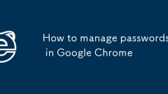 Cara Mengurus Kata Laluan di Google Chrome