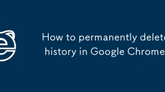 Cara memadam sejarah secara kekal di Google Chrome