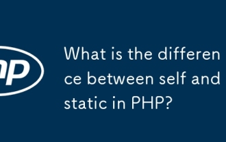 PHPの自己と静的の違いは何ですか?