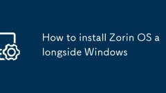 So installieren Sie Zorin OS neben Windows