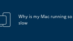 ? ?? ? ??? ??? ?? ???