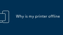 ? ???? ???? ? ??? ??????
