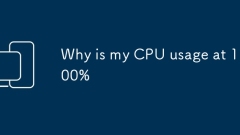 ? CPU ??? 100% ? ??