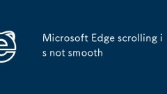 Microsoft Edge Scrolling ist nicht glatt