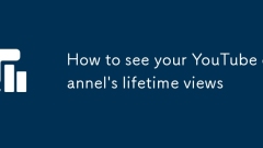 How to see your YouTube channel's lifetime views