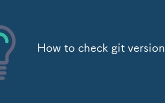 So überprüfen Sie die Git -Version