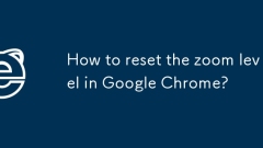 Wie setze ich den Zoompegel in Google Chrome zurück?
