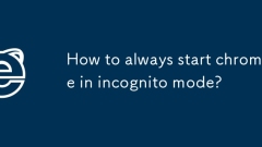 Wie starte ich immer Chrome im Inkognito -Modus?