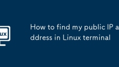 Comment trouver mon adresse IP publique dans Linux Terminal