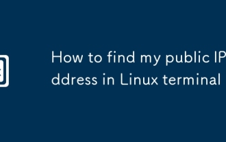 如何在Linux終端找到我的公共IP地址